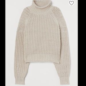 H&M Ribbed Turtleneck